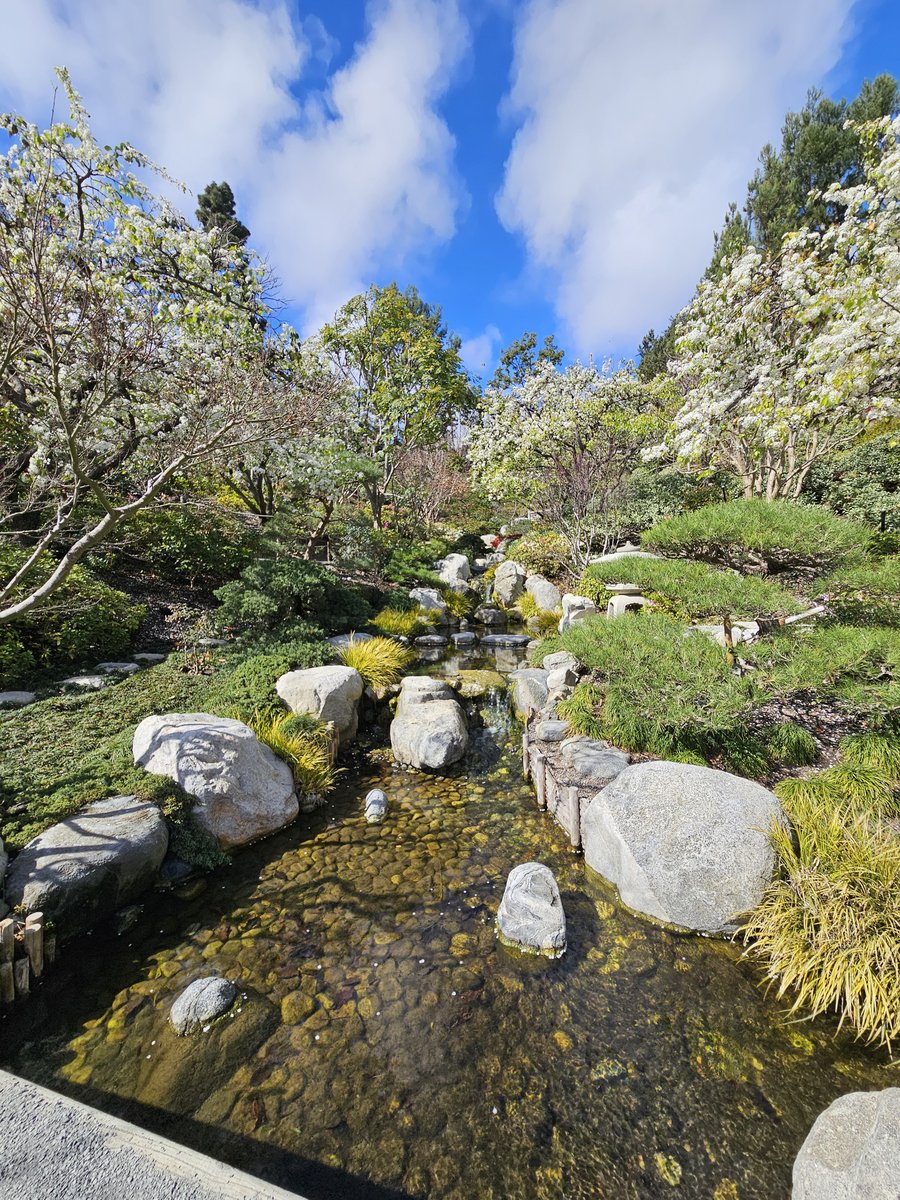 A small stream flowing over large boulders and mossy stones in the Japanese Friendship Garden, Balboa Park