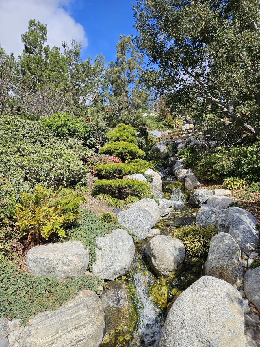 Garden boulders and colourful ground-level planting in the Japanese Friendship Garden, Balboa Park, against a blue sky