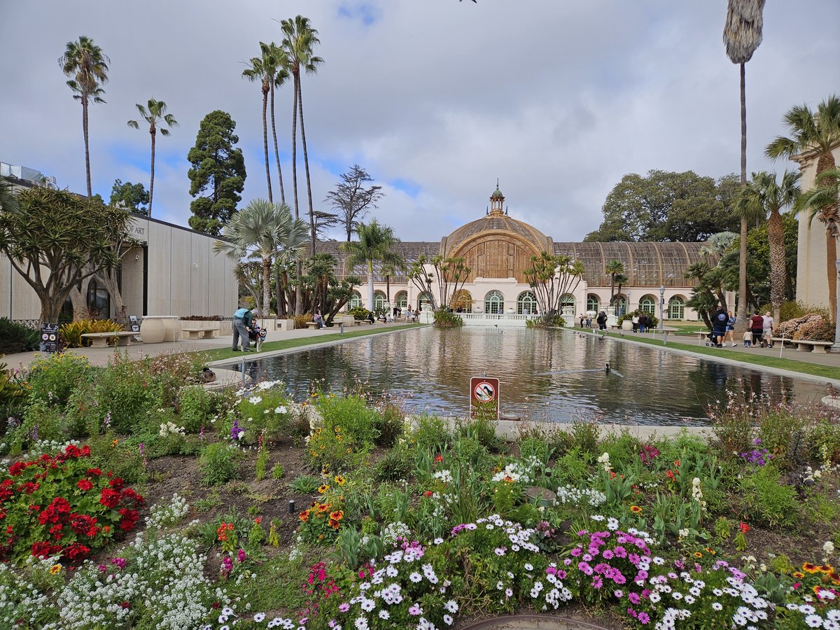 The Balboa Park Botanical Building, a 1915 lath structure, with its reflecting lily pond and colourful flower beds in the foreground and palm trees behind