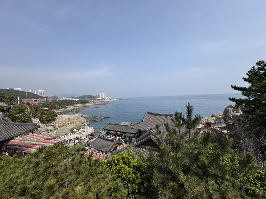 Aerial view of Haedong Yonggungsa Temple clinging to the coastal cliffs with the sea beyond