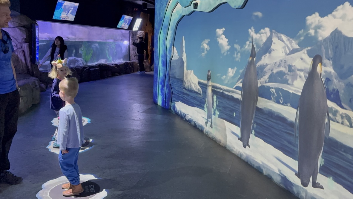 Kids standing in front of an interactive penguin projection wall at SEA LIFE Busan