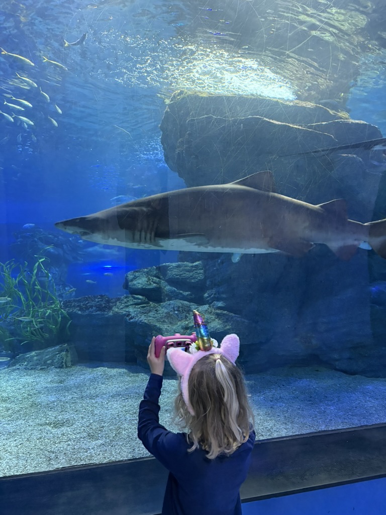 Girl with unicorn ears holding a pink camera up to photograph a shark at SEA LIFE Busan