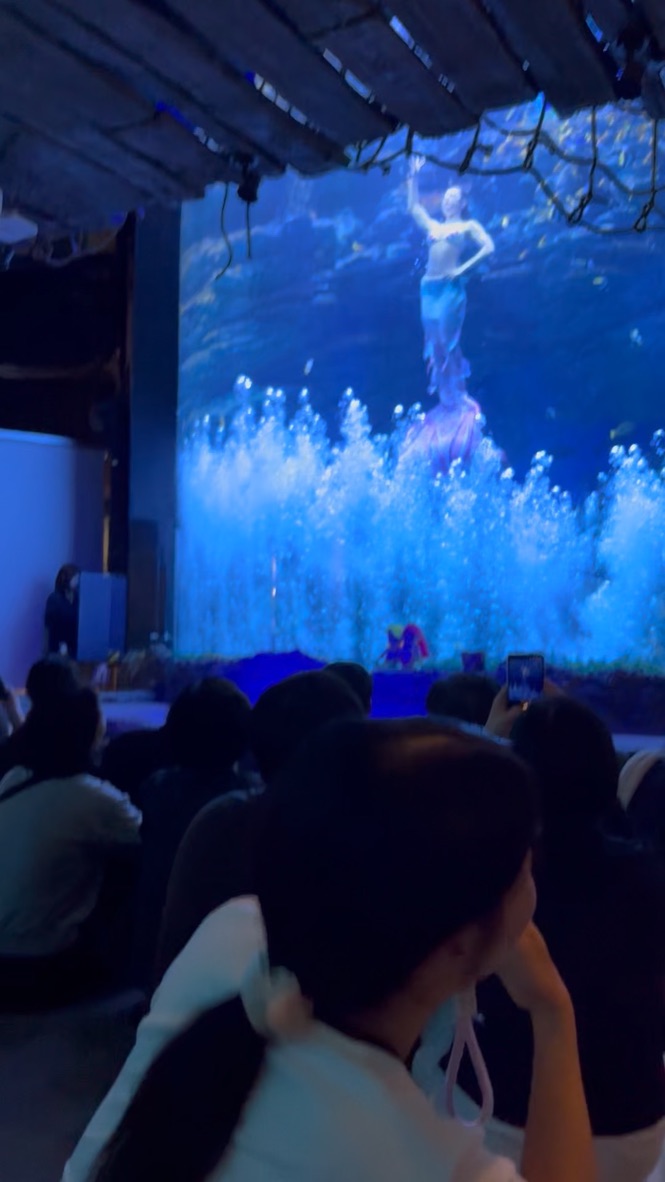 Mermaid show at SEA LIFE Busan with projection screen and performers