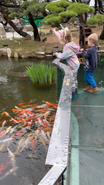 Kids feeding koi fish in a pond inside Gamcheon Culture Village