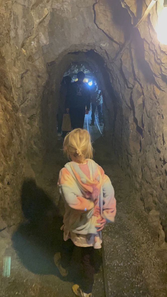 Young girl walking into the Eagle Mine tunnel in Julian