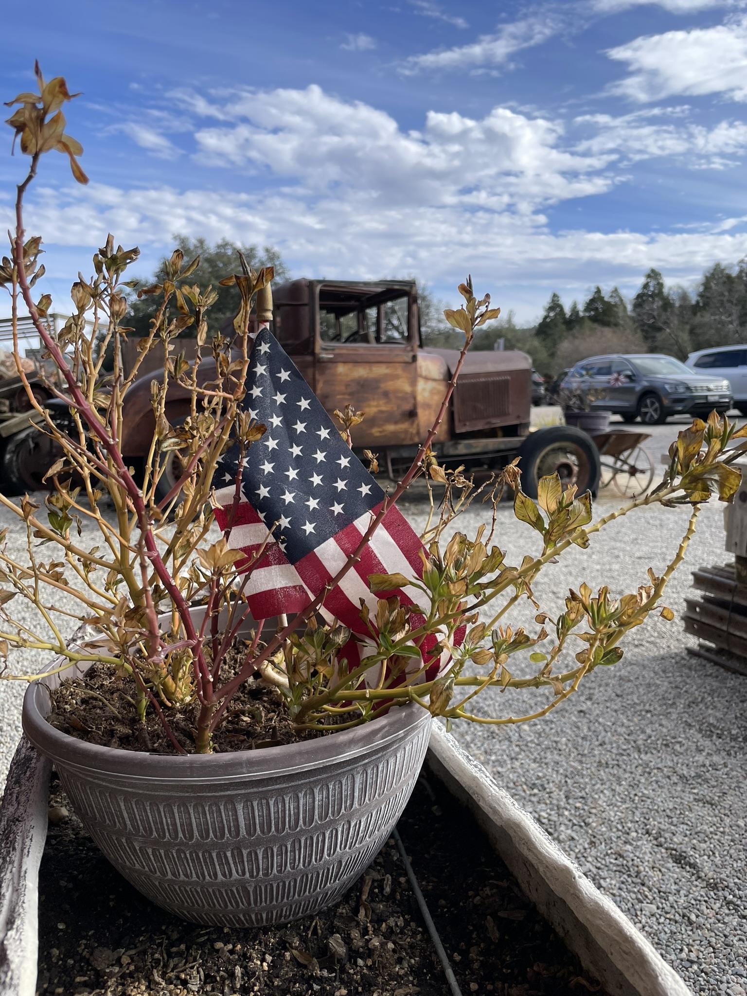 Julian Day Trip from San Diego with Kids: Gold Mines, Pie & Gem Sluicing