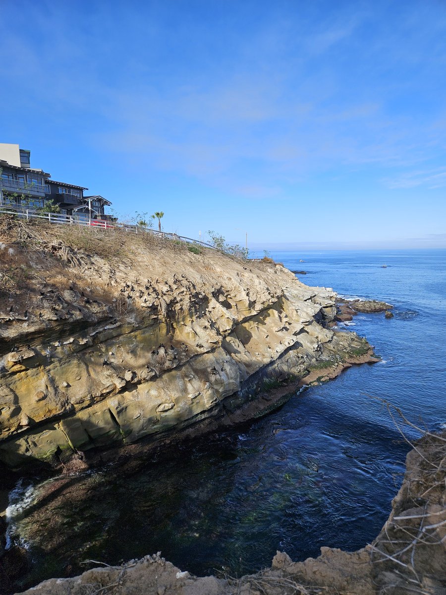 The rugged sandstone sea cliffs at La Jolla Cove, with the Pacific Ocean below and a clear blue sky above