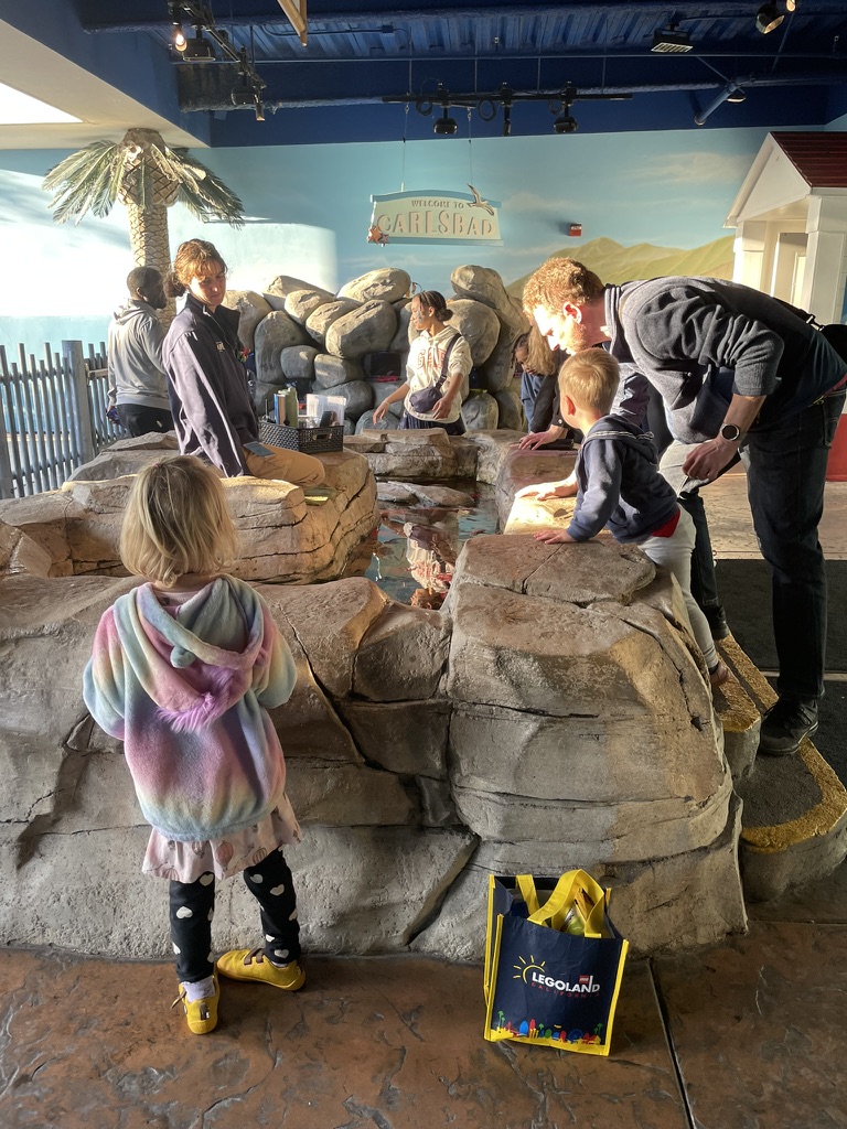 Kids and dad at the touch pool at SEA LIFE Carlsbad, petting sea creatures at a rocky pool with a Welcome to Carlsbad mural behind