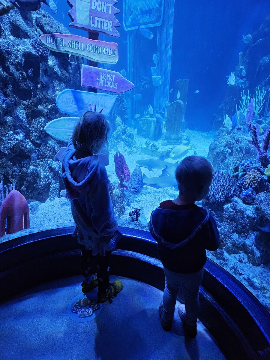 Kids at the SEA LIFE Carlsbad aquarium, watching fish through a large circular display tank with coral reef inside, lit in deep blue