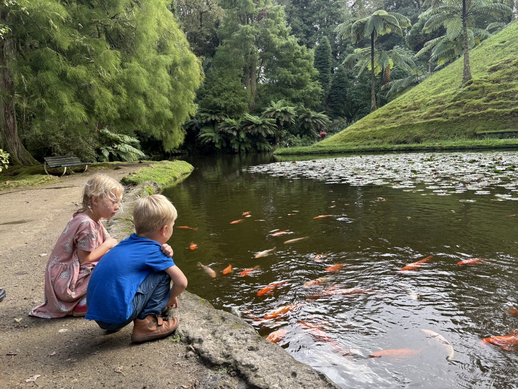 Two kids crouching by a koi pond in Parque Terra Nostra, Azores