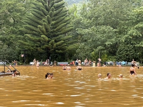 People swimming in the brown mineral thermal pool at Parque Terra Nostra, Azores, surrounded by tropical trees