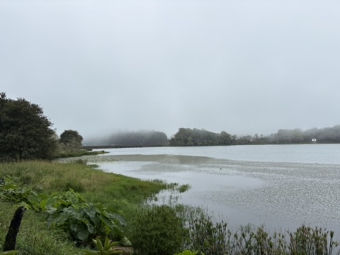 Foggy view over the lake at Sete Cidades, Azores, with the far shore barely visible