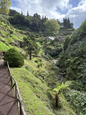 Green valley path through Parque Natural da Ribeira dos Caldeirões, Azores, with waterfall in the distance