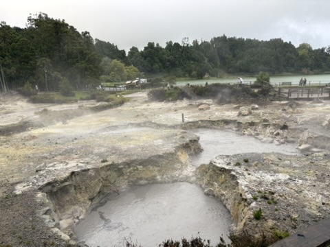 Wide view of bubbling volcanic mud pools and steam at Furnas, Azores
