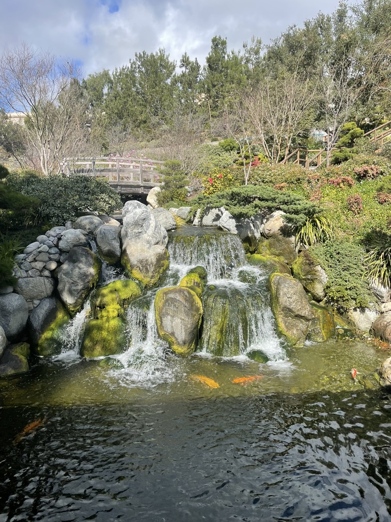 Waterfall cascading over mossy rocks into a koi pond at the Japanese Friendship Garden in Balboa Park