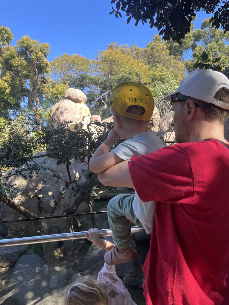 Young child on dad's shoulders watching an animal enclosure at San Diego Zoo