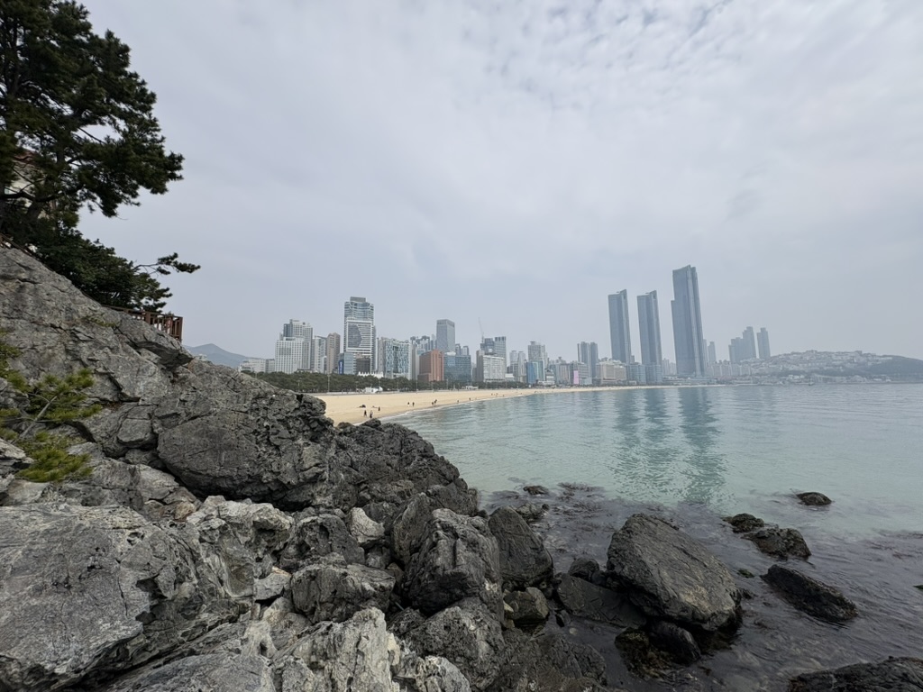 Haeundae Beach and city skyline seen from the rocks at Dongbaekseom, Busan