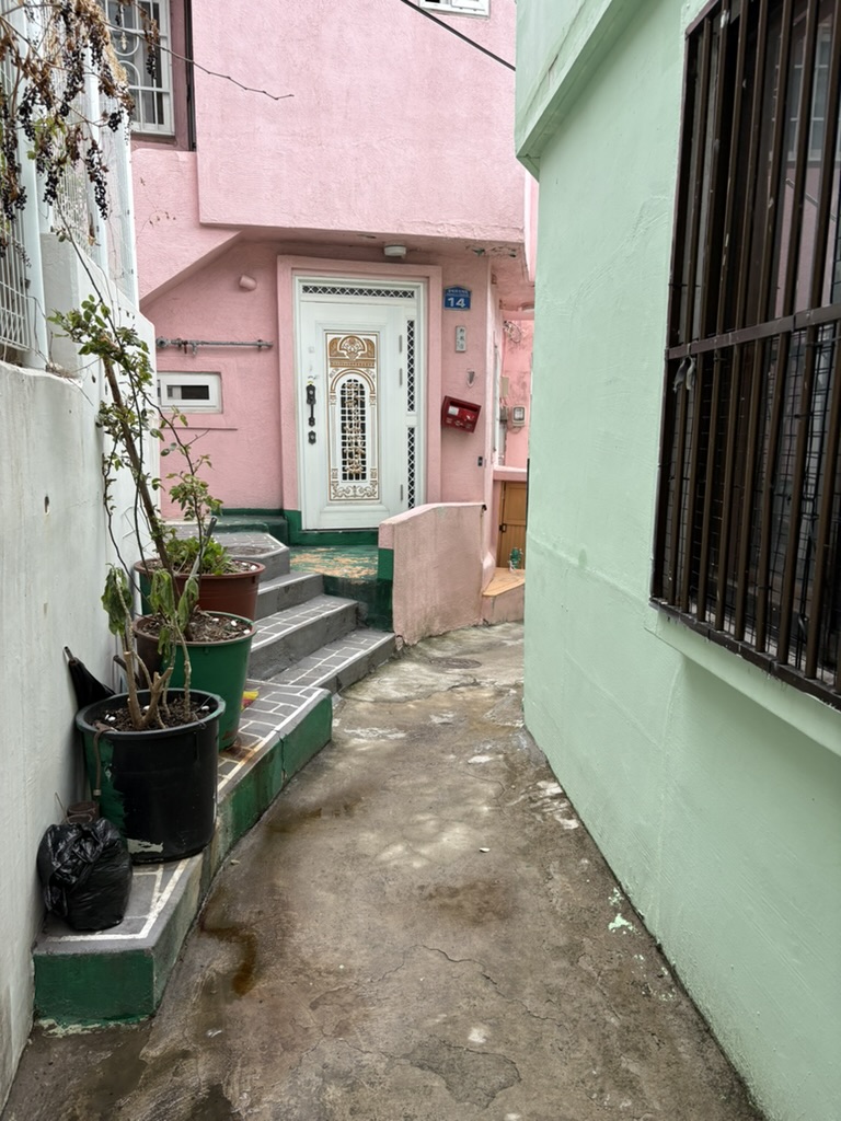 Narrow alley between pink and green houses in Gamcheon Culture Village
